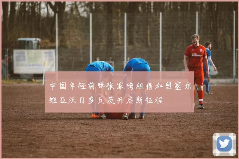 中国年轻前锋张家鸣租借加盟塞尔维亚沃日多瓦茨开启新征程